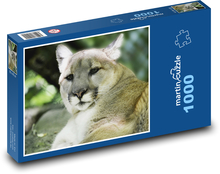 Puma - veľká mačka, dravec Puzzle 1000 dielikov - 60 x 46 cm 