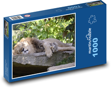 Lev - velká kočka, dravec Puzzle 1000 dílků - 60 x 46 cm