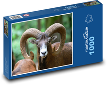Muflón - baran, zviera Puzzle 1000 dielikov - 60 x 46 cm 