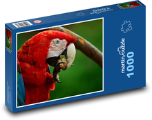 Ara - Papagei, roter Vogel Puzzle 1000 Teile - 60 x 46 cm