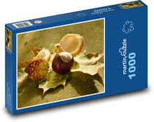 Kaštany - podzim, listy Puzzle 1000 dílků - 60 x 46 cm