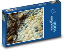 Kôrovce - lastúry, mušle Puzzle 1000 dielikov - 60 x 46 cm 