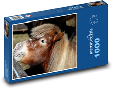 Shetlendský poník - hříbě, kůň Puzzle 1000 dílků - 60 x 46 cm