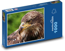 Orel - dravec, pták Puzzle 1000 dílků - 60 x 46 cm