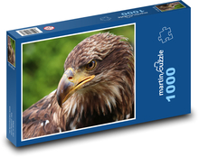 Adler - Raubtier, Vogel Puzzle 1000 Teile - 60 x 46 cm