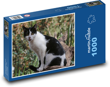 Mačka domáca - mačiatko, zviera Puzzle 1000 dielikov - 60 x 46 cm 