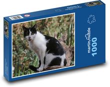 Kot domowy - kotek, zwierzę Puzzle 1000 elementów - 60x46 cm