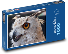 Výr - dravý pták, sova Puzzle 1000 dílků - 60 x 46 cm