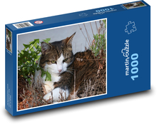 Cat - pet, pet Puzzle 1000 pieces - 60 x 46 cm