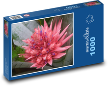 Bromelie - okrasná květina, rostlina Puzzle 1000 dílků - 60 x 46 cm
