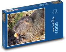 Nutria - hlodavec, zviera Puzzle 1000 dielikov - 60 x 46 cm 