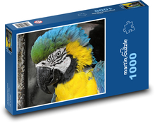 Ara - parrot, bird Puzzle 1000 pieces - 60 x 46 cm 
