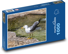 Čajka - morský vták, voda Puzzle 1000 dielikov - 60 x 46 cm 