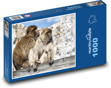 Małpy - naczelne, zwierzęta Puzzle 1000 elementów - 60x46 cm