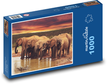 Slony pri vode - zvieratá, safari Puzzle 1000 dielikov - 60 x 46 cm 