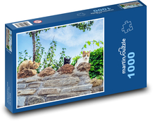 Kočky na zídce - domácí mazlíčci, zvířata Puzzle 1000 dílků - 60 x 46 cm