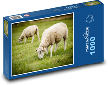 Owce, pastwiska, zwierzęta Puzzle 1000 elementów - 60x46 cm