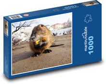 Hlodavec - zviera, nutrie Puzzle 1000 dielikov - 60 x 46 cm 