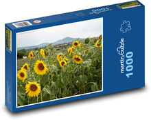 Sonnenblumenfeld Puzzle 1000 Teile - 60 x 46 cm