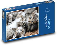 Kočka , koťata, kočičky Puzzle 1000 dílků - 60 x 46 cm