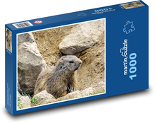 Alpy - Svišť - hlodavec Puzzle 1000 dielikov - 60 x 46 cm 
