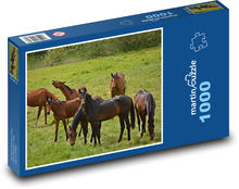 Tiere - Herde von Pferden Puzzle 1000 Teile - 60 x 46 cm