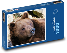 Zvíře - Medvěd Hnědý Puzzle 1000 dílků - 60 x 46 cm