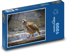 Rebhuhn - Vogel, Tier Puzzle 1000 Teile - 60 x 46 cm