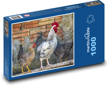 Kura - kogut, zwierzęta domowe Puzzle 1000 elementów - 60x46 cm