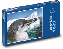 Pingwin - lód, morze Puzzle 1000 elementów - 60x46 cm