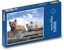 Mačky - domáci miláčikovia, zvieratá Puzzle 1000 dielikov - 60 x 46 cm 