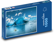 Tuleň - moře, ledovec Puzzle 1000 dílků - 60 x 46 cm