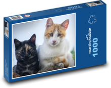 Kočky - domácí mazlíčci, roztomilá zvířata Puzzle 1000 dílků - 60 x 46 cm