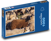 Stado owiec - zwierzęta gospodarskie, bydło Puzzle 1000 elementów - 60x46 cm