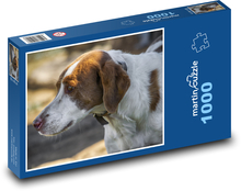 Dog - animal, pet Puzzle 1000 pieces - 60 x 46 cm 