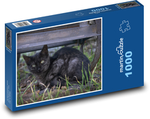 Babe - black cat, chick Puzzle 1000 pieces - 60 x 46 cm 