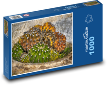 Kaktus - roślina, sukulent Puzzle 1000 elementów - 60x46 cm