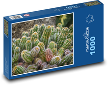 Kaktusy - příroda, rostlina Puzzle 1000 dílků - 60 x 46 cm