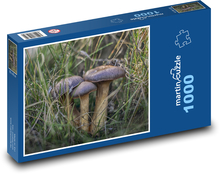 Grzyby - ziołowe, pole Puzzle 1000 elementów - 60x46 cm