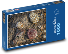 Schnecke - Strand, Stein Puzzle 1000 Teile - 60 x 46 cm