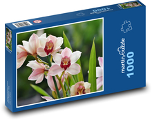 Storczyki - kryty kwiat, płatki Puzzle 1000 elementów - 60x46 cm
