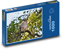 Sojka - pták, zvíře Puzzle 1000 dílků - 60 x 46 cm