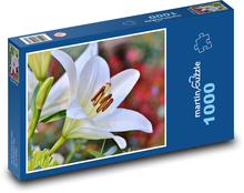 Bílá lilie - květina, zahrada Puzzle 1000 dílků - 60 x 46 cm