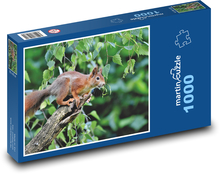 Wiewiórka na drzewie - las, gryzoń Puzzle 1000 elementów - 60x46 cm