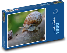 Slimák - ulita, príroda Puzzle 1000 dielikov - 60 x 46 cm 