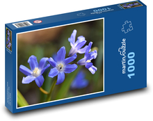 Ladoňka - scilla, květ Puzzle 1000 - 60x46 cm