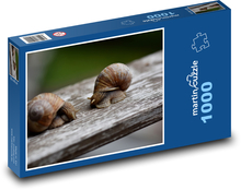 Slimáky - slimáky, mäkkýše Puzzle 1000 dielikov - 60 x 46 cm 