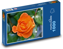 Oranžová ruža - okvetné lístky, kvet Puzzle 1000 dielikov - 60 x 46 cm 