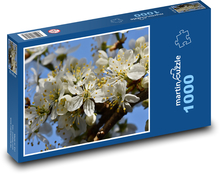 Švestkové květy - kvetoucí větev, švestka Puzzle 1000 dílků - 60 x 46 cm