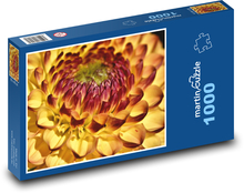 Orange dahlias - flower, garden Puzzle 1000 pieces - 60 x 46 cm